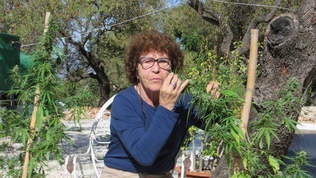 abuela marihuana