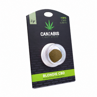 blondie hachis cbd