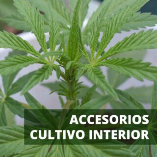 Accesorios cultivo interior