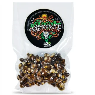 Trufas mágicas psilocybe Mexicana