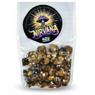 trufas mágicas psilocybe Nirvana