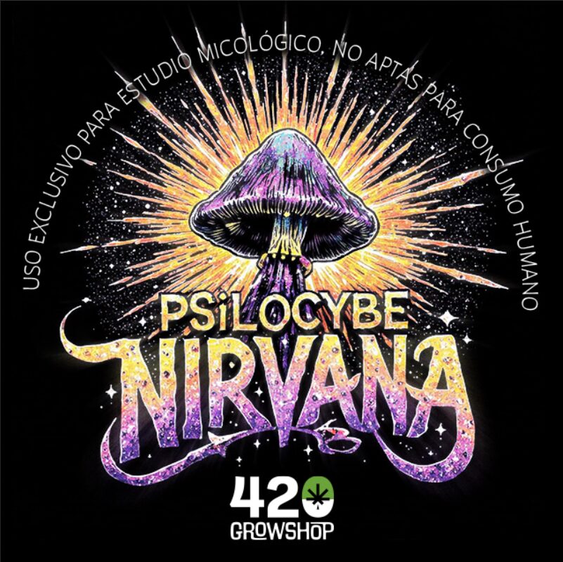 trufas mágicas psilocybe Nirvana - Imagen 2