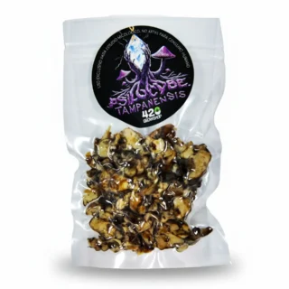 trufas mágicas tampanensis