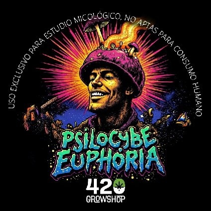 Trufas mágicas Psilocybe EuphoriaSpores - Imagen 2