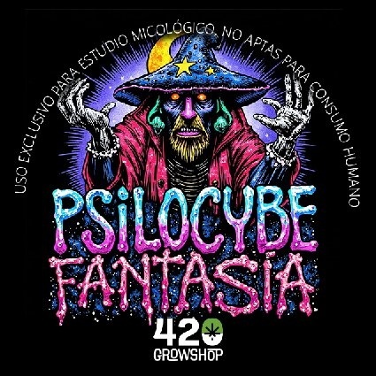 Trufas mágicas Psilocybe Fantasía - Imagen 2