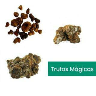Trufas Mágicas