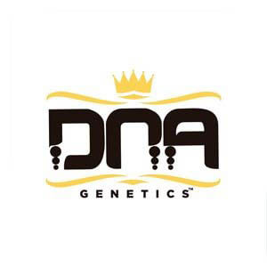 DNA Genetics