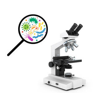 Lupas para tricomas