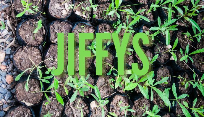 germinar semillas con Jiffy