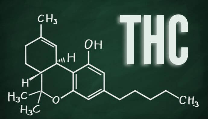 thc que dura en la saliva