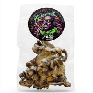Trufas mágicas Psilocybe Mister Fungi