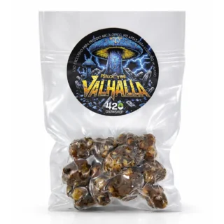 Trufas mágicas Psilocybe Valhalla