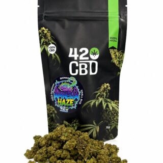 amnesia haze