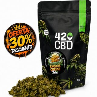 exodus cheese