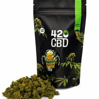 exodus cheese