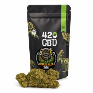 gorilla indoor