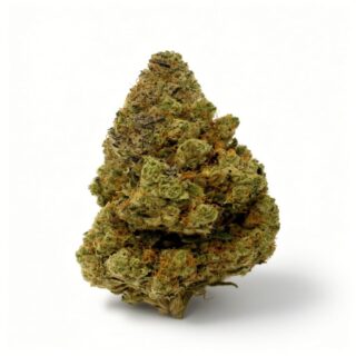 Super Silver Indoor Hidropónicas 420 CBD
