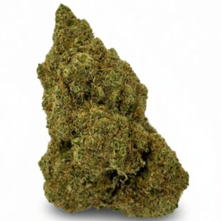 Jack White Hidropónica 420 CBD