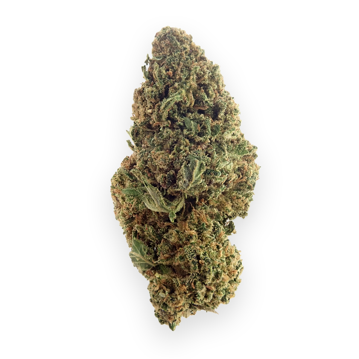 golden gas flor premium hydro indoor cbd