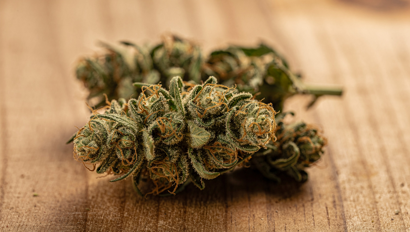 Flores CBD ricas en terpenos