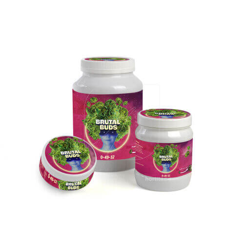 BRUTAL BUDS