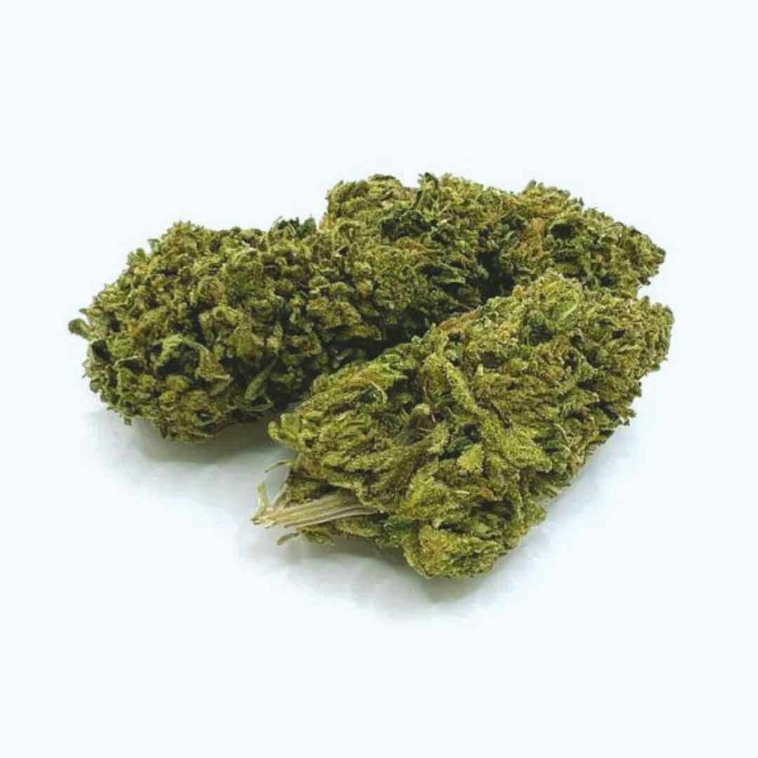 Exodus Cheese Gold Indoor Edition 420