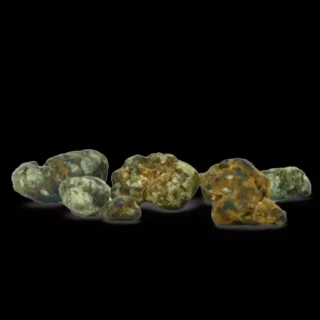 Trufas Mágicas Psilocybe DreamShrooms