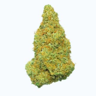 Mango Kush Indoor Hidropónicas 420