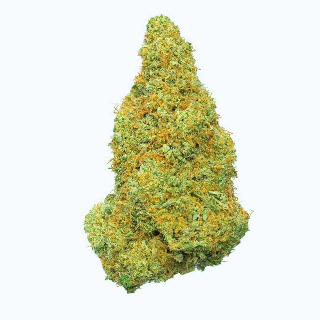 Mango Kush Indoor Hidropónicas 420