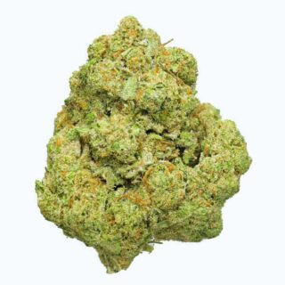 Og Kush Indoor Hidropónicas 420