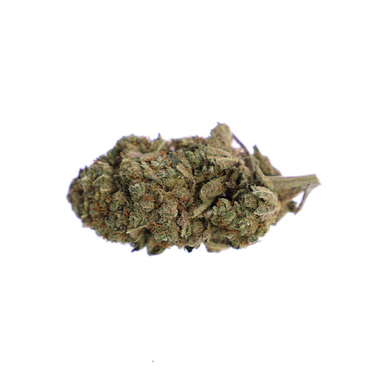 Lemon Haze (Interior) CLS - Imagen 2