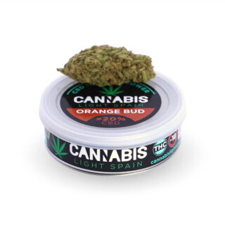 Orange Bud (Interior Hidropónica) CLS