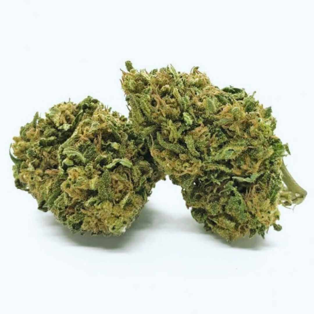 Pineaple Express Gold Indoor Edition 420