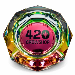420 Crown Glass Ashtray Clear