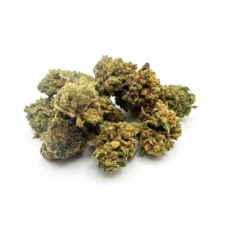 wild nectar gold outdoor