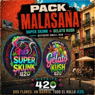 Pack Malasaña | Flores Outdoor Gold