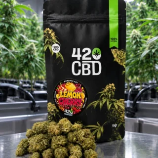 Lemon Cherry Gold Indoor 420