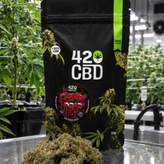 Cherry Drip Gold Indoor 420