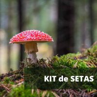 kit_de_setas